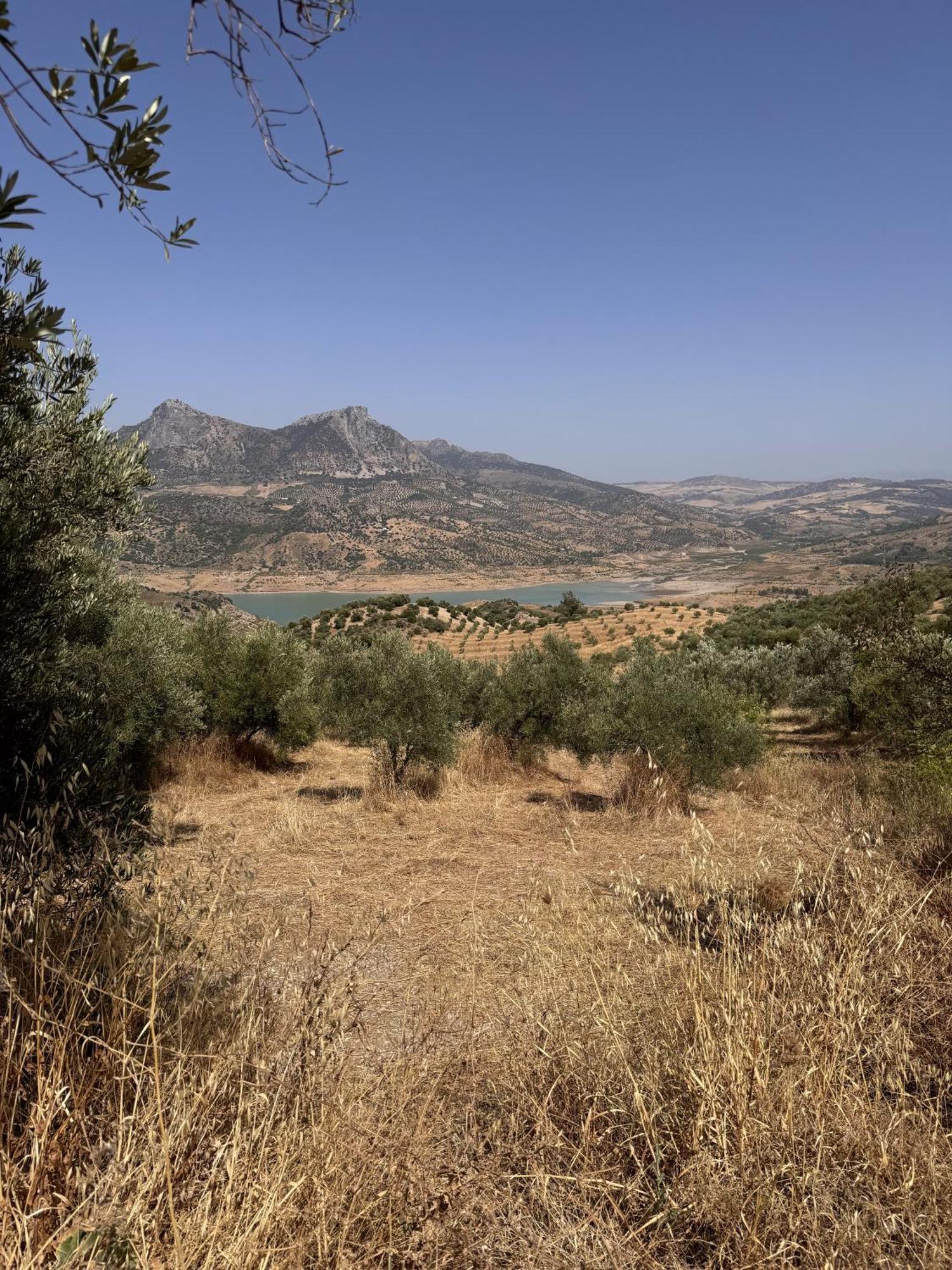 Finca Luca Oliva Zahara De La Sierra Kültér fotó
