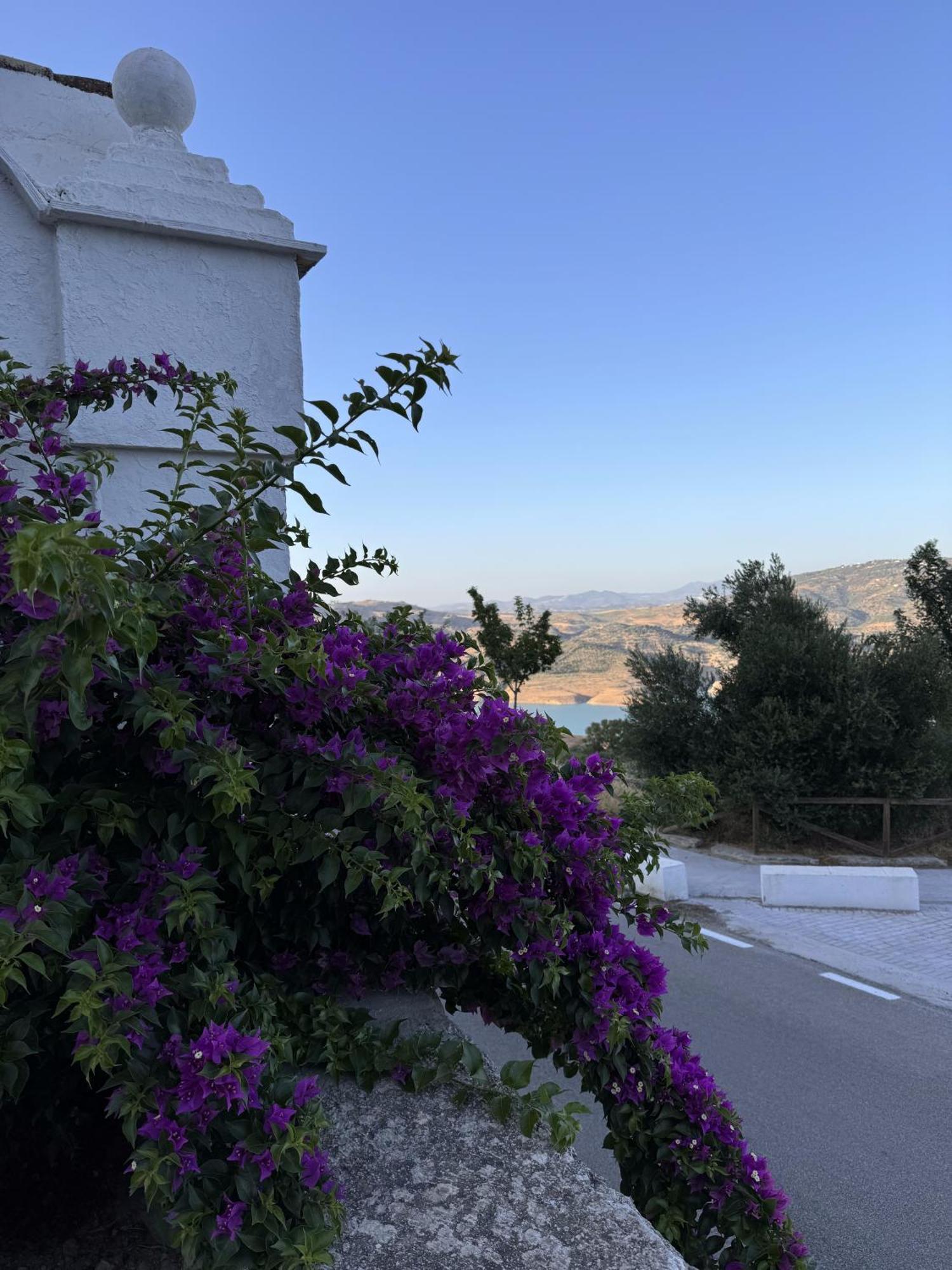 Finca Luca Oliva Zahara De La Sierra Kültér fotó
